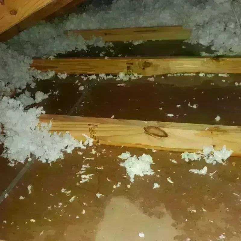 Attic Water Damage in Swisher County, TX