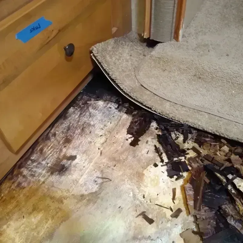 Best Wood Floor Water Damage Service in Swisher County, TX